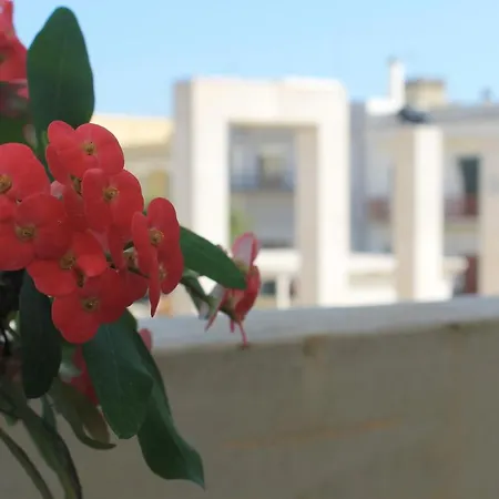 Holiday home La Piazzetta Salve